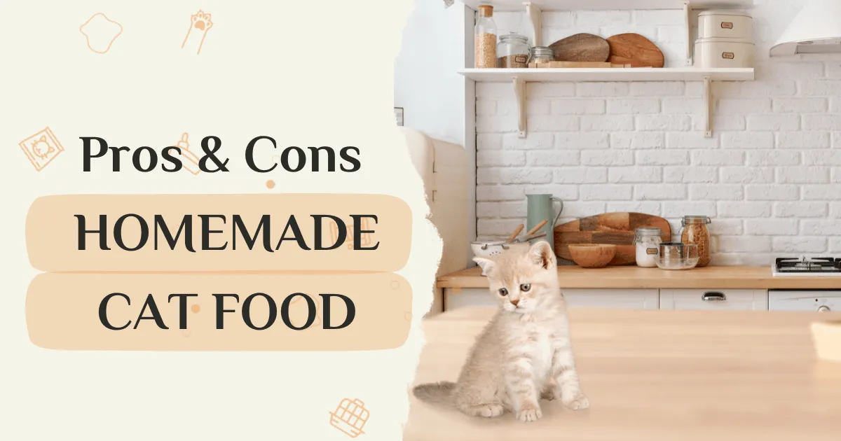 Homemade Cat Food Pros & Cons Guide